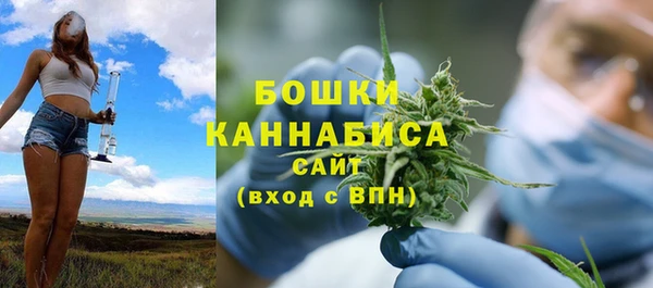 мет Протвино