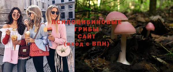 прущая мука Весьегонск