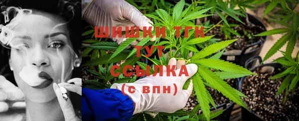 мет Протвино