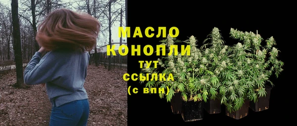 мет Протвино