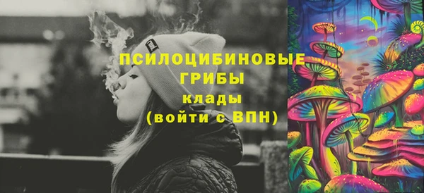 мет Протвино