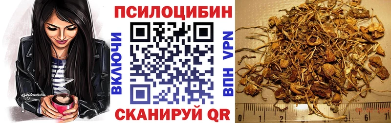 Псилоцибиновые грибы Cubensis  Белинский 