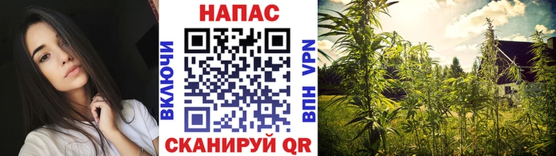 Каннабис план  кракен tor  Белинский 